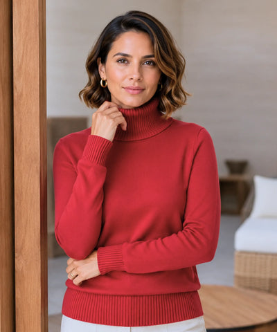 Comprar blusa de frio feminina grossa de tricot térmica com gola alta peluciada aconchegante e sofisticado para o inverno barato ANELLIMN