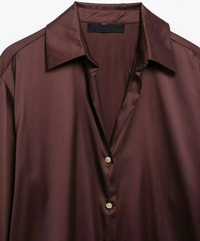 Blusa Social Feminina de Seda com Manga Longa Elegante | Lady